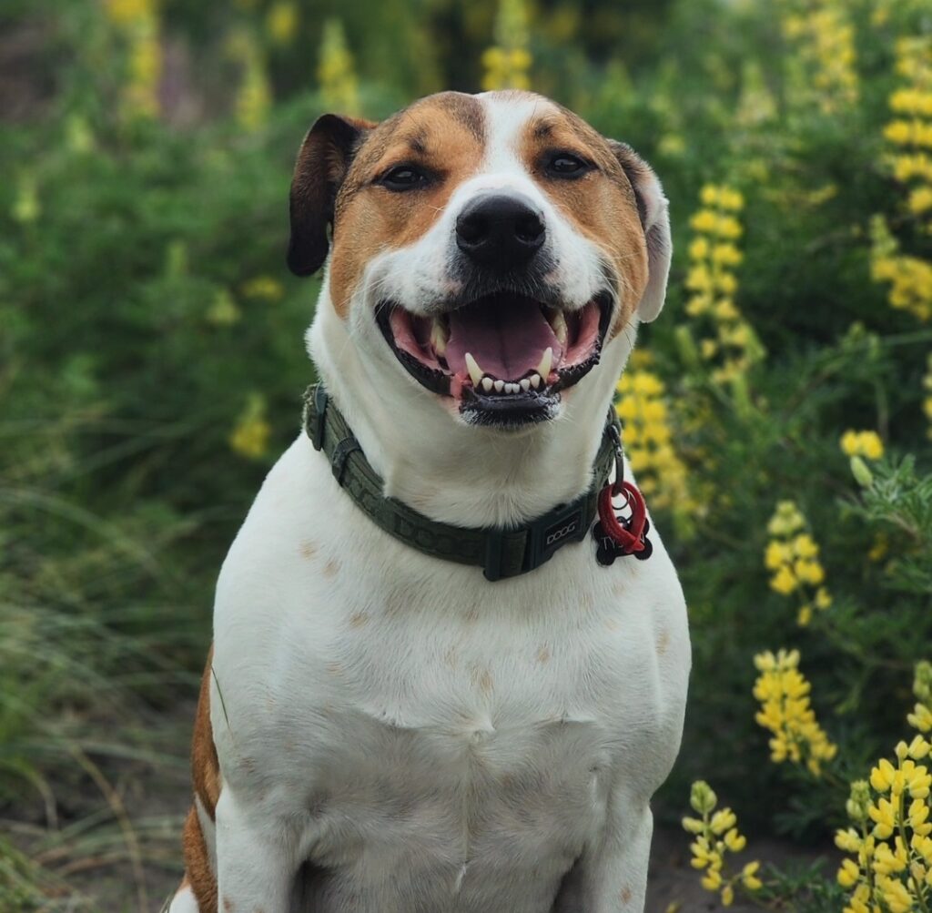 Shayal sen staff pic of tyson